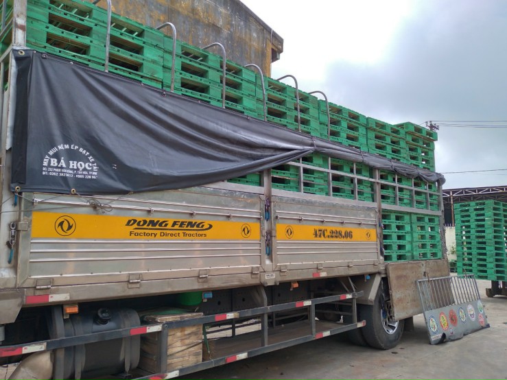 pallet gỗ mới 1200x1000